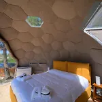 Glamping Bubble Experience