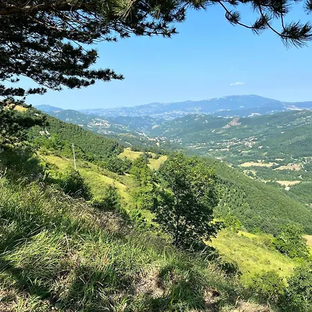 Bubble Experience Casteldelci