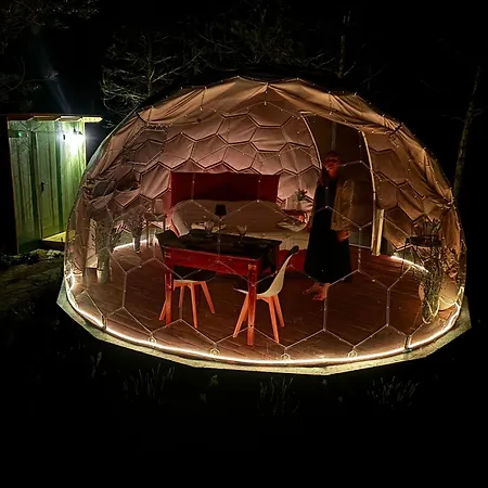 Bubble Experience