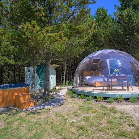 Bubble Experience *