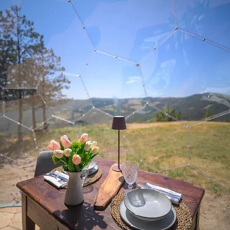 Bubble Experience Lüks kamp alanı *