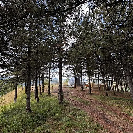 Bubble Experience * Casteldelci