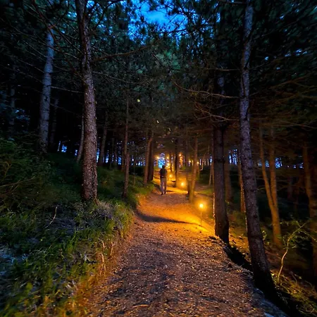 豪华帐篷 Bubble Experience *