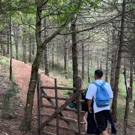 Luxuszelt Bubble Experience