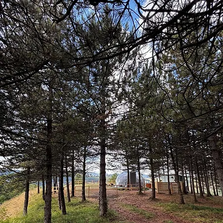 Bubble Experience Роскошный шатер