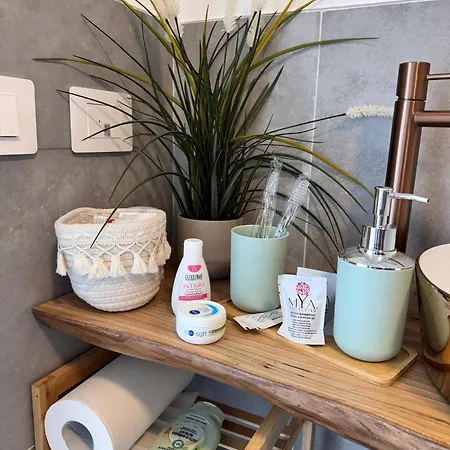 豪华帐篷 Bubble Experience *