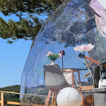 豪华帐篷 Bubble Experience