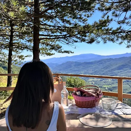 Bubble Experience 豪华帐篷