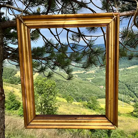 Bubble Experience 豪华帐篷