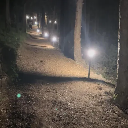 Bubble Experience 豪华帐篷 Casteldelci