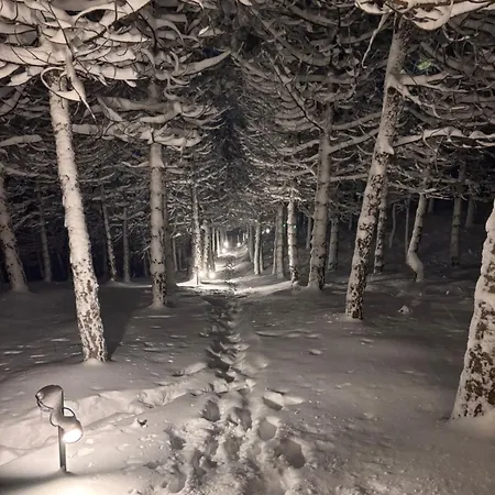 Bubble Experience Luxuszelt