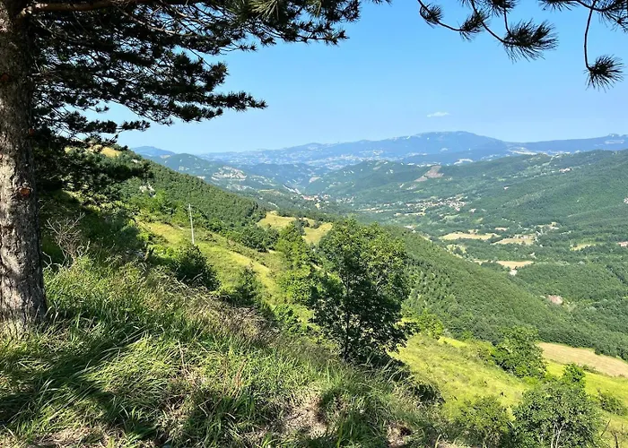 Bubble Experience Casteldelci