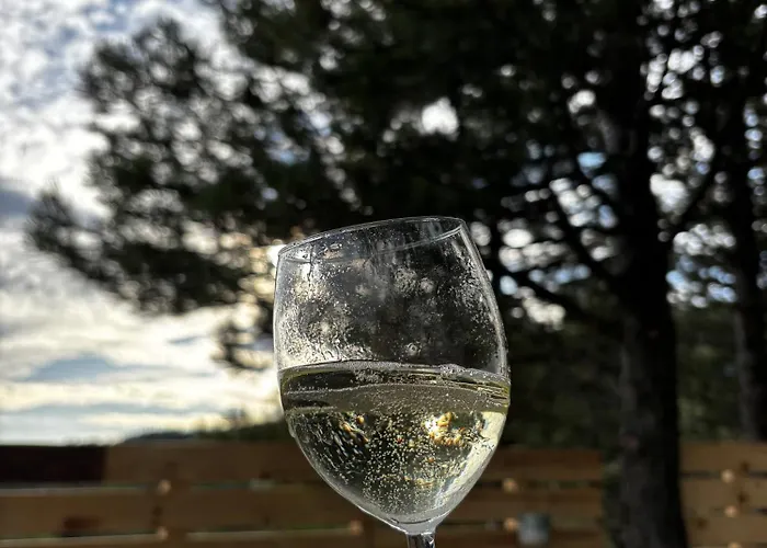 Bubble Experience Роскошный шатер