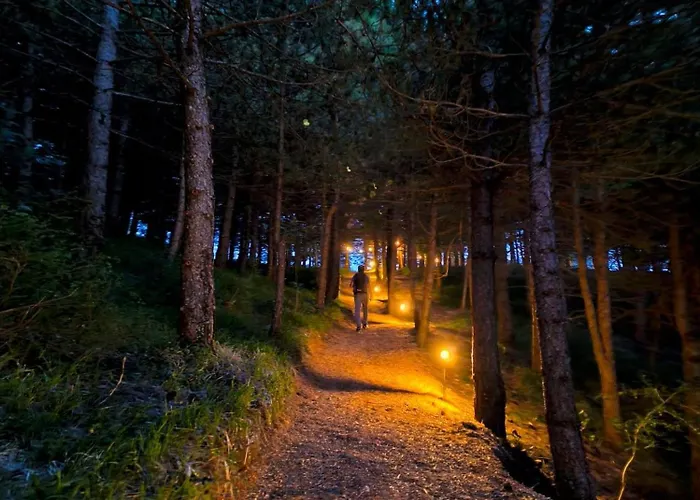 אוהל מפואר Bubble Experience *