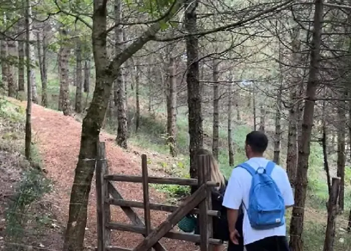 אוהל מפואר Bubble Experience