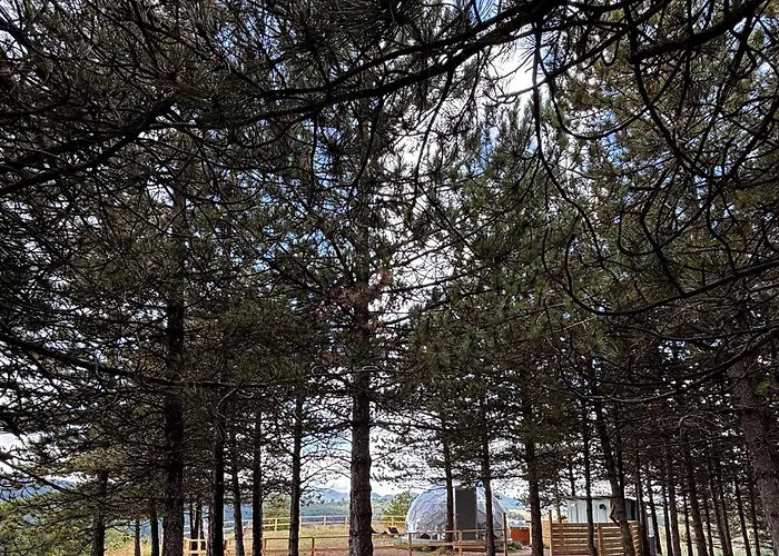 Bubble Experience Роскошный шатер