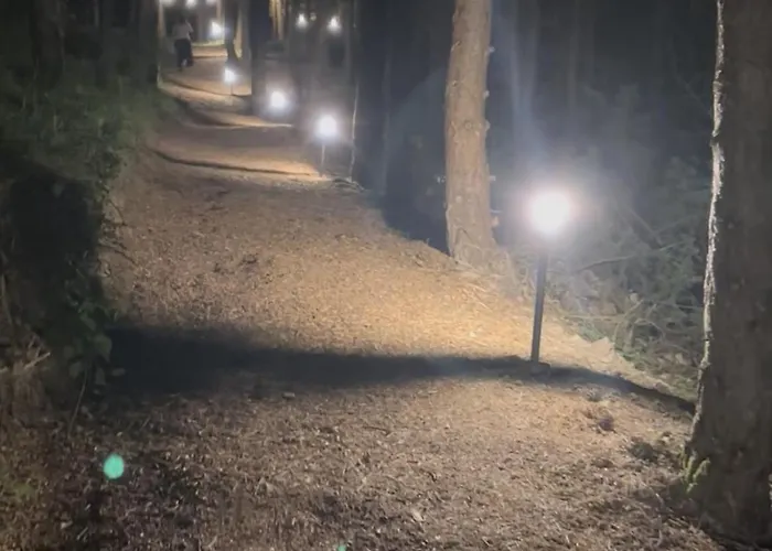 Bubble Experience Роскошный шатер Casteldelci