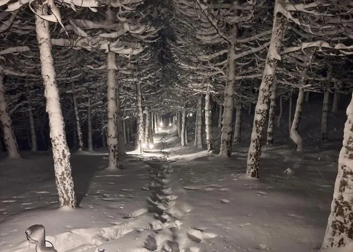 Bubble Experience אוהל מפואר